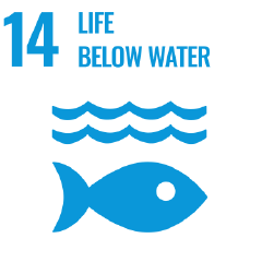 Sustainable Development | Goodman Fielder