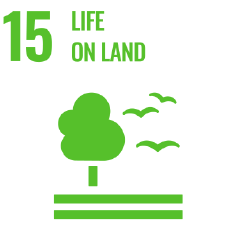 Sustainable Development | Goodman Fielder