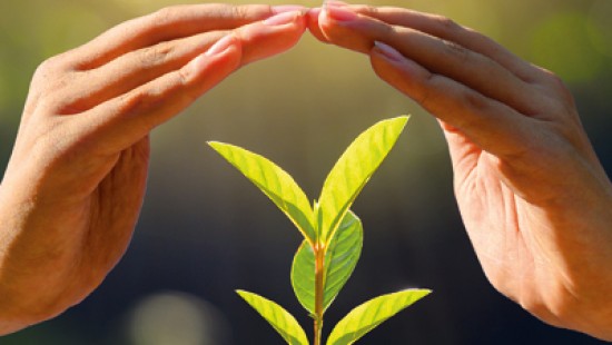 Goodman Fielder Fights Food Waste as Founding Signatory of the Australian Food Pact